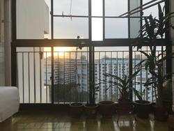 ang-mo-kio-avenue-10 photo thumbnail #3